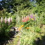 Picture_004