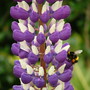 Dscf1780