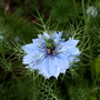 Dscf2666