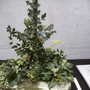 2007_roden016