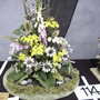 2007_roden017