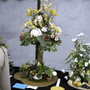 2007_roden019