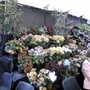 2007_roden023