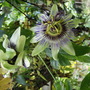 Autumn_06_040