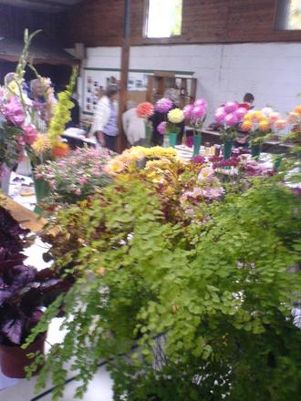 Village Show