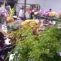 Old_phone_pics_sony_ericsson_034