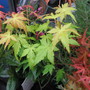 Changing seasons