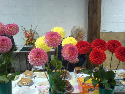 Village Show