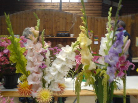 Village Show