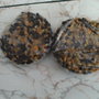 Bird cakes