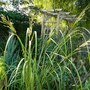 Grasses, shrubs and trees. So many greens!!!