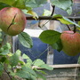 Autumn_06_039
