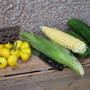 September yield