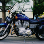 Harley Sportster