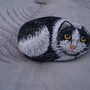 Rock Cat