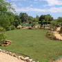 Part of rear garden