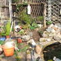 Re-Vamp's of my pond so far.  (??)