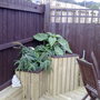 13092008172.jpg