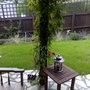 13092008170.jpg