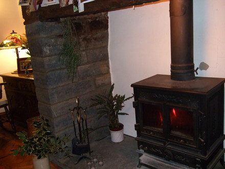 The log burner in the sitting room (Rosmarinus officinalis (Rosemary))