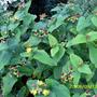 Sept_13th_2008_001