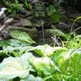 The gargoyle water spout.