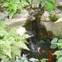 The wildlife pond area. September 14th 2008.