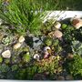 Butlers sink