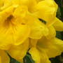 Dscf0492_1_
