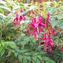 Picture_147