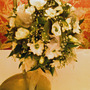 Dsc00068_edited