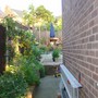 Dark shady part of the garden