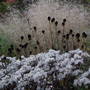Pict0040