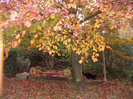 autumn 2