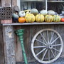 fruits of autumn