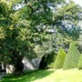 Trip to Holland. Middachten Castle. Topiary