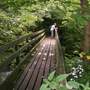 My friend on the bridge over the river Wye 