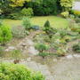 Front Garden from above