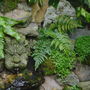 luscious green foliage surrounding the water spout. September 17th 2008.