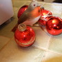 Baubles_and_a_robin