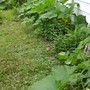 Garage side plot
