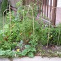 Deck-side garden