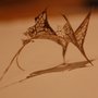 Leaf_skeleton