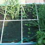 Picture_042