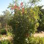 Dscn2247