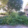Veg Garden