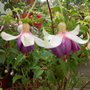 Picture_012
