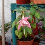 Picture_015