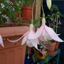 Picture_016