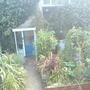 my exploding front garden